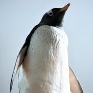 Tom_Register