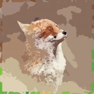 Early_Fox