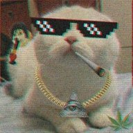 Owen_Gmaers