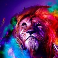 Simba_King
