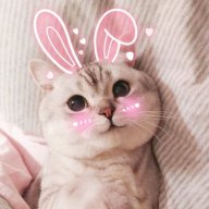 Tran_HuyDuc