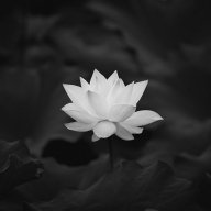 Paul_Abbate