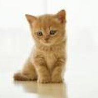 Linh_Berry