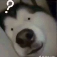 NguyenDuc_Long