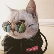 Jesse_Stone