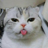 MinhAnh_Battousai