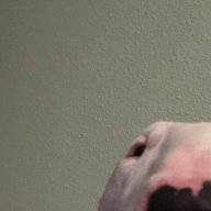 Bin_Charles