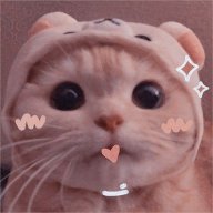 Mr_Bull