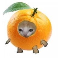 Sarkander_Hguzibanky
