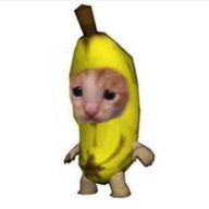 Nguyen_H