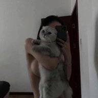 Antifan_Cauthien