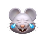 Bao_aduz