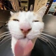 CkjenTkan_MjnkNkut