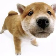 Thien_Baoo