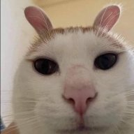tsxya_mhuy