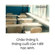 Sumiz_Polite