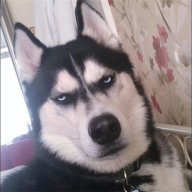 Dao_Tung