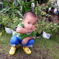 Jerry_Chuot