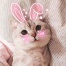 Tran_HuyDuc