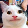 MienTay_Russian