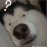 NguyenDuc_Long