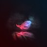 Boy_Xike