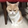 DeungHong_Ok