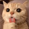 Duong_Parkun