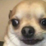 Douglas_Bin
