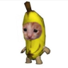 Nguyen_H