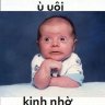 sang_ter