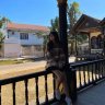 Quyen_Zux