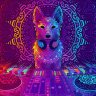Dj_Fox