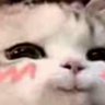 Hung_Forme