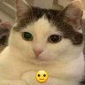 Catthmethan_HN