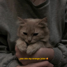 Mark_Liren