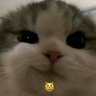 Tuananh_Dangchill