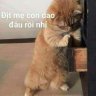 Qhin_YeuEm