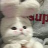 Quanghin_sieuquay