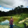 Lsd_hoang