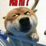 Hiami_Willam