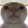 Su_YouPeng