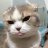 kiet_Cc