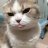 Quyen_Ngoc