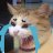 Quy_xu