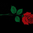 Jay_Samuel