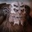 Hien_DT