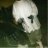 Luke_Jui