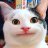 MienTay_Russian