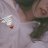 DJI_Mavicc